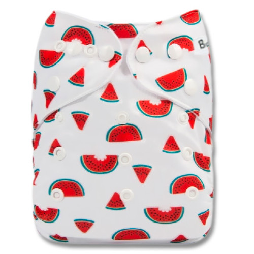 F235 Slices of Watermelon Ai1