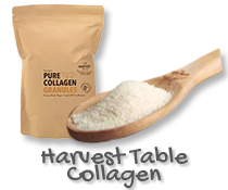 Collagen
